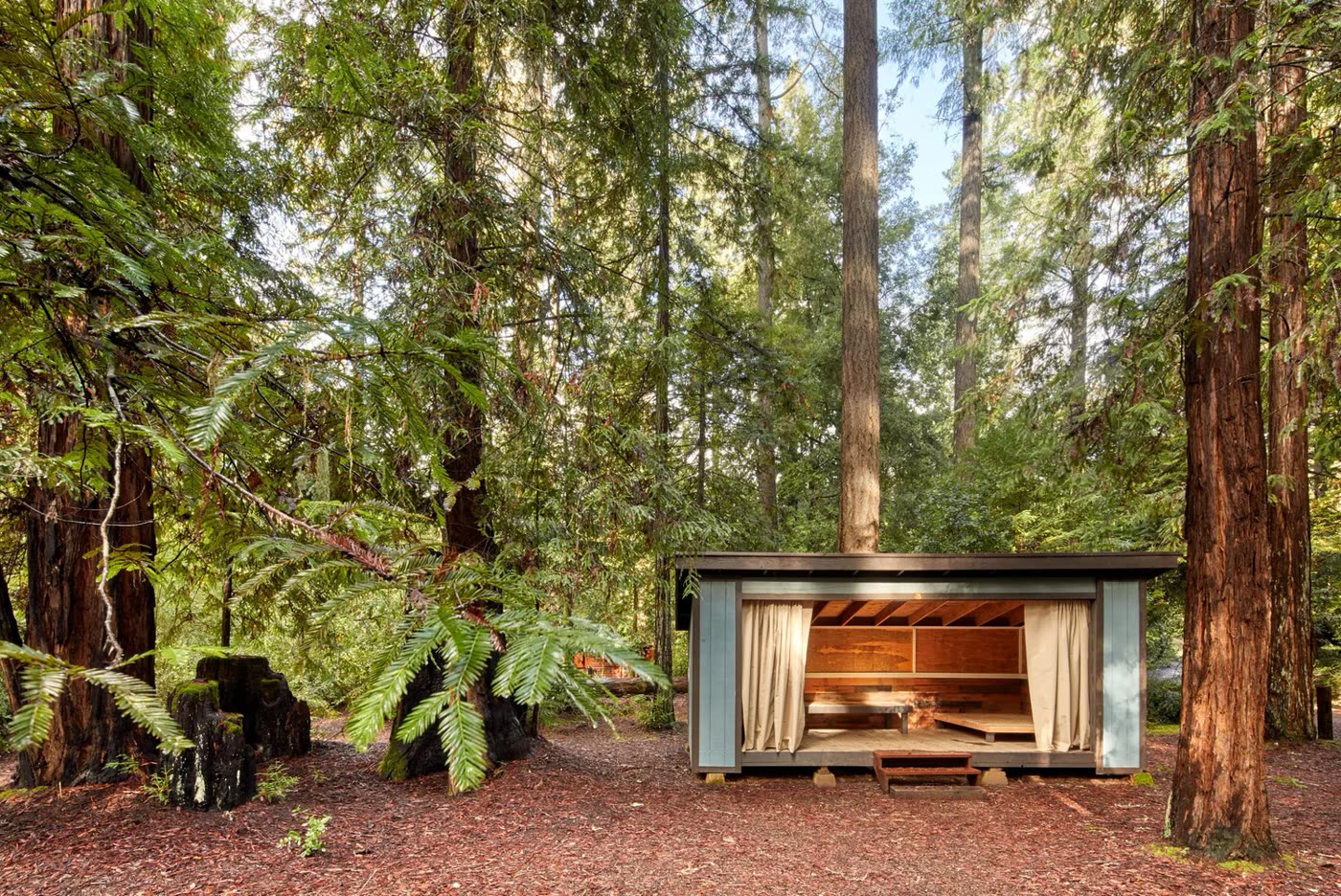 Open-air cabin in the forest